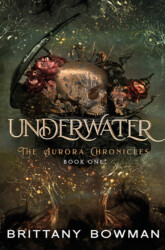 bookcoverdesigner-bookcover-book-cover-design-fantasy- bookcoverdesigner-bookcover-book-cover-design-fantasy-